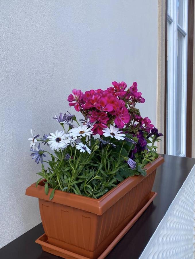 Il Gallo Di Eracle - Charming Suites & Rooms Termini Imerese Εξωτερικό φωτογραφία